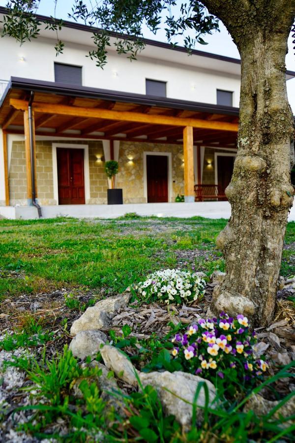 Atomos Bed & Breakfast Alvignano Dış mekan fotoğraf