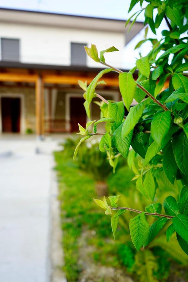 Atomos Bed & Breakfast Alvignano Dış mekan fotoğraf